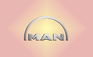 ✓ MAN 51.00900.6633 Запчасти МАН (MAN) 